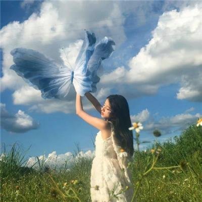 一条鲶鱼救地球